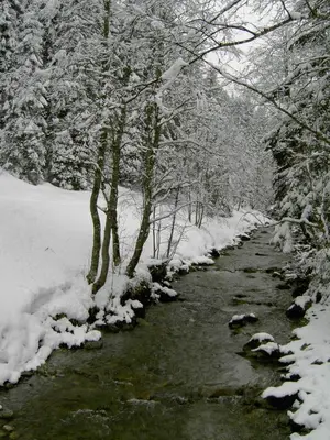 Ferienwohnung Am Waldrand im Winter