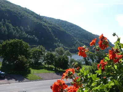 Naturlandschaft in der Nähe der Pension