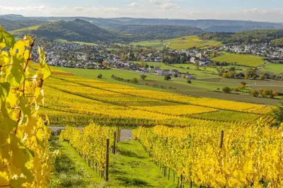 Naturlandschaft in der Nähe der Ferienwohnung