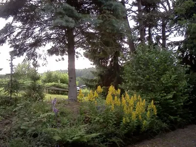 Ein Garten an der Unterkunft Haus am Wald