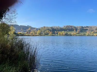 Naturlandschaft in der Nähe des Ferienhauses