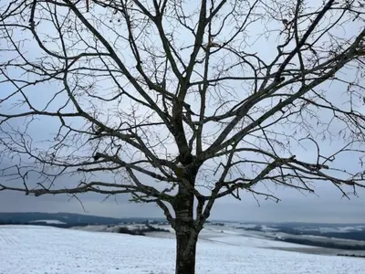 Naturlandschaft in der Nähe des Ferienhauses