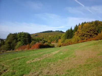 Naturlandschaft in der Nähe der Ferienwohnung