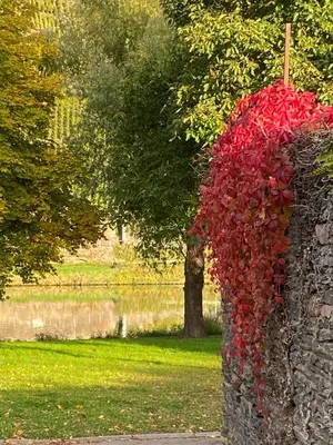 Ein Garten an der Unterkunft Angelica