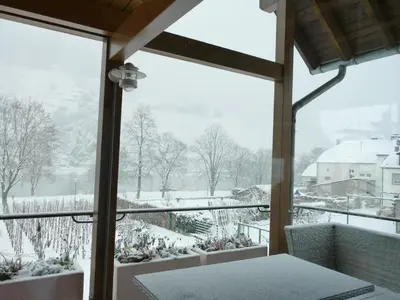 Angelica im Winter