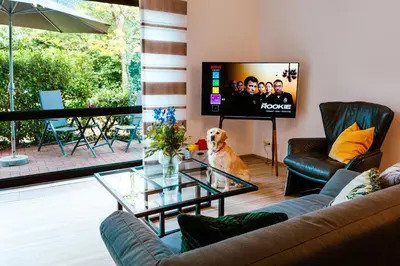 TV/Unterhaltungsangebot in der Unterkunft A11