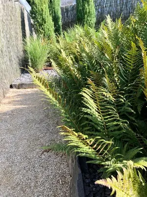 Ein Garten an der Unterkunft Ferienhaus Eifel-Auszeit