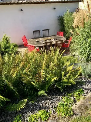 Ein Garten an der Unterkunft Ferienhaus Eifel-Auszeit