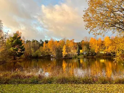 Naturlandschaft in der Nähe der Ferienwohnung