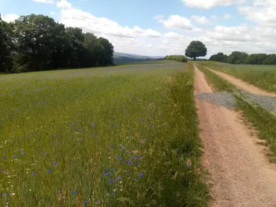Naturlandschaft in der Nähe der Ferienwohnung