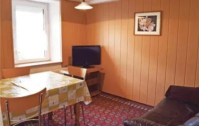 TV/Unterhaltungsangebot in der Unterkunft 3 Bedroom Cozy Apartment In Trierweiler