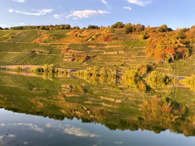 Naturlandschaft in der Nähe der Ferienwohnung
