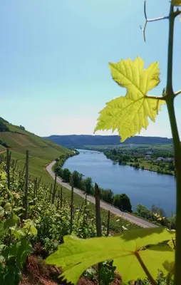 Naturlandschaft in der Nähe der Ferienwohnung