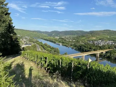 Naturlandschaft in der Nähe des Ferienhauses