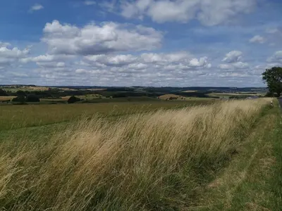 Naturlandschaft in der Nähe der Ferienwohnung