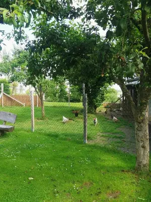 Ein Garten an der Unterkunft Ferienwohnung am Wasserfall