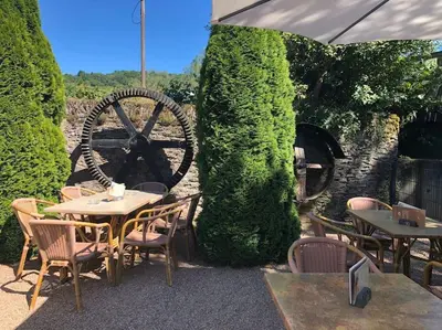 Ein Garten an der Unterkunft Wohnen direkt am Moselstrand