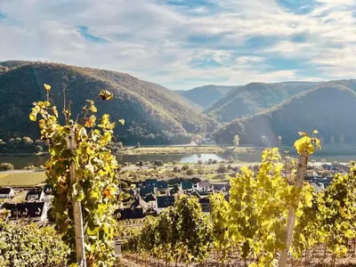 Naturlandschaft in der Nähe des Hotels
