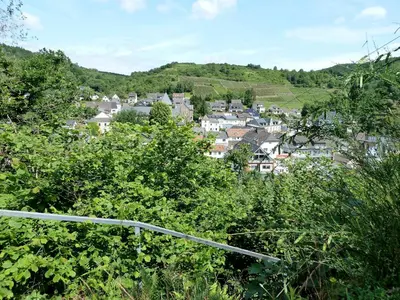 Naturlandschaft in der Nähe der Ferienwohnung