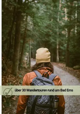 Gäste, die in der Unterkunft DDHomes LahnLiebe App 01 - Balkon,Therme,SmartTV übernachten