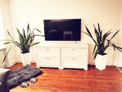 TV/Unterhaltungsangebot in der Unterkunft Ferienhaus VioLin