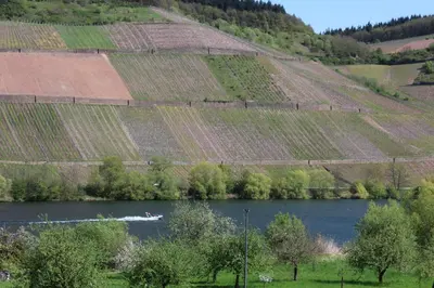 Naturlandschaft in der Nähe der Ferienwohnung