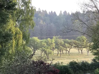 Naturlandschaft in der Nähe der Ferienwohnung