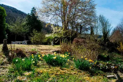 Naturlandschaft in der Nähe der Villa