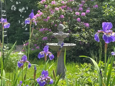 Ein Garten an der Unterkunft Ferienwohnung Preziosa