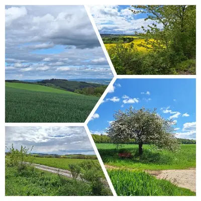 Naturlandschaft in der Nähe der Ferienwohnung
