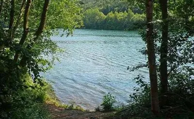 Naturlandschaft in der Nähe der Ferienwohnung