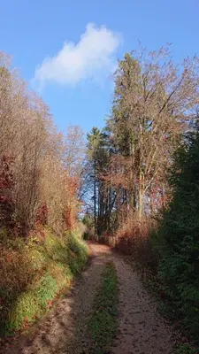 Naturlandschaft in der Nähe des Ferienhauses