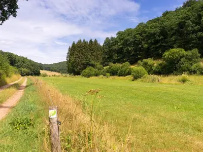 Naturlandschaft in der Nähe des Ferienhauses
