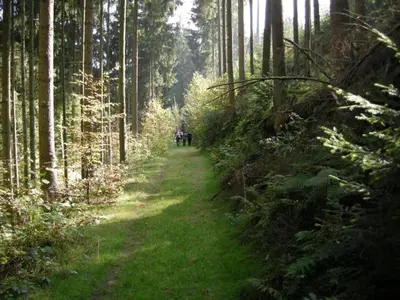 Naturlandschaft in der Nähe des Ferienhauses