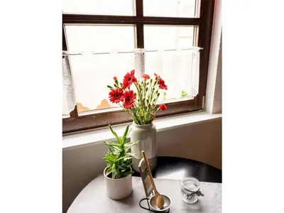 Grundriss der Unterkunft Charming apartment in Buch