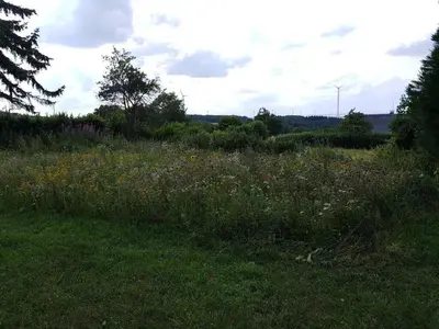 Naturlandschaft in der Nähe des Ferienhauses
