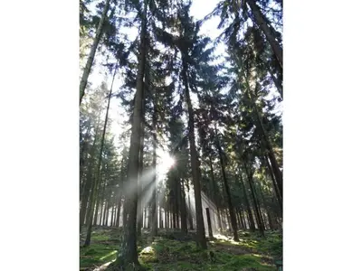 Naturlandschaft in der Nähe der Ferienwohnung