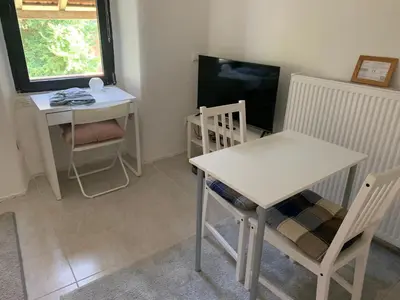 TV/Unterhaltungsangebot in der Unterkunft Ellerbachblick in der Altstadt