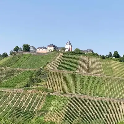Burgblick Pünderich