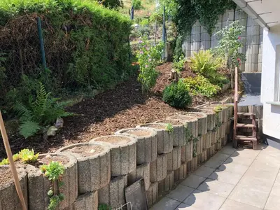 Ein Garten an der Unterkunft Unter den Weinbergen