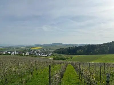 Naturlandschaft in der Nähe der Ferienwohnung