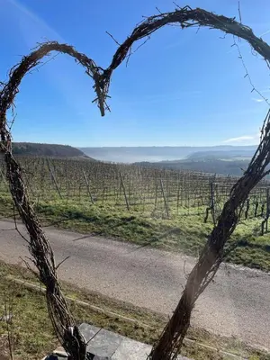 Naturlandschaft in der Nähe der Ferienwohnung