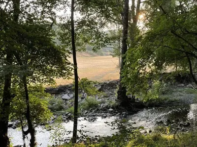 Naturlandschaft in der Nähe der Ferienwohnung
