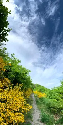 Naturlandschaft in der Nähe der Ferienwohnung