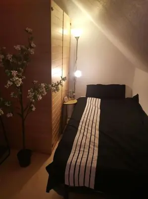 Ein Bett oder Betten in einem Zimmer der Unterkunft Wohnung am Kurpark mit privater Innensauna & LED! Schlüsselbox
