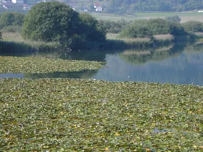 Naturlandschaft in der Nähe der Ferienwohnung