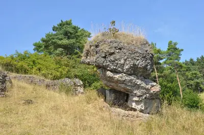 Naturlandschaft in der Nähe der Ferienwohnung