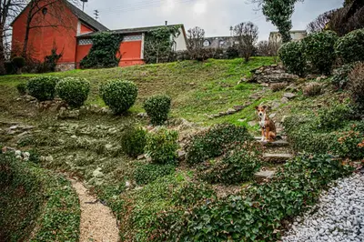 Ein Garten an der Unterkunft Haus Helga