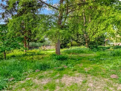 Ein Garten an der Unterkunft Apart You I Altstadt Apartment am Wasser mit Garten