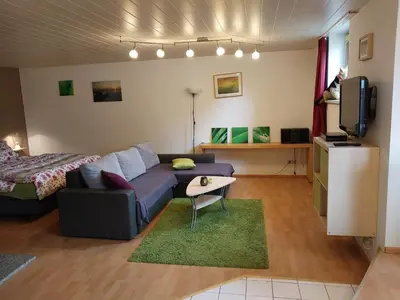 TV/Unterhaltungsangebot in der Unterkunft Ferienappartement Weisel
